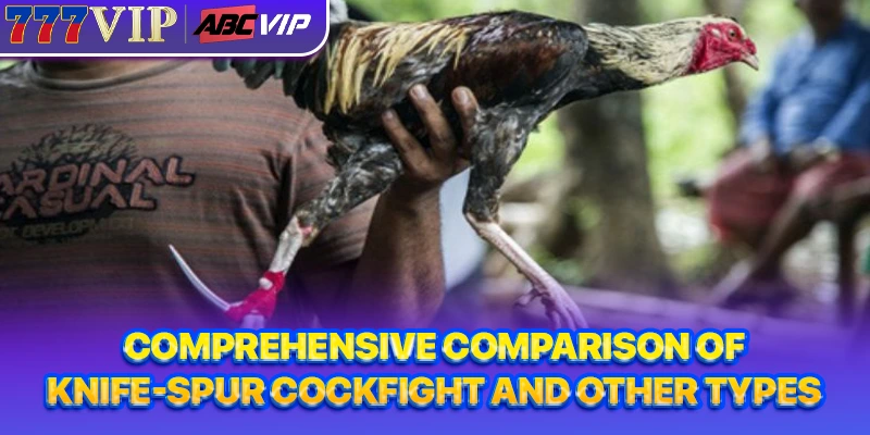 Comprehensive comparison of knife-spur cockfight and other types